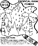 No.18 Tropical Rain Forest coloring page