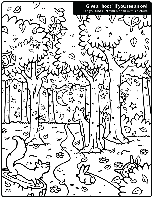 Hidden Owl Find coloring page