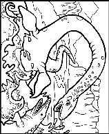 Plesiosaurus coloring page