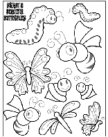 Farfalle colorate