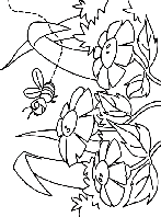 Ronzando sui fiori