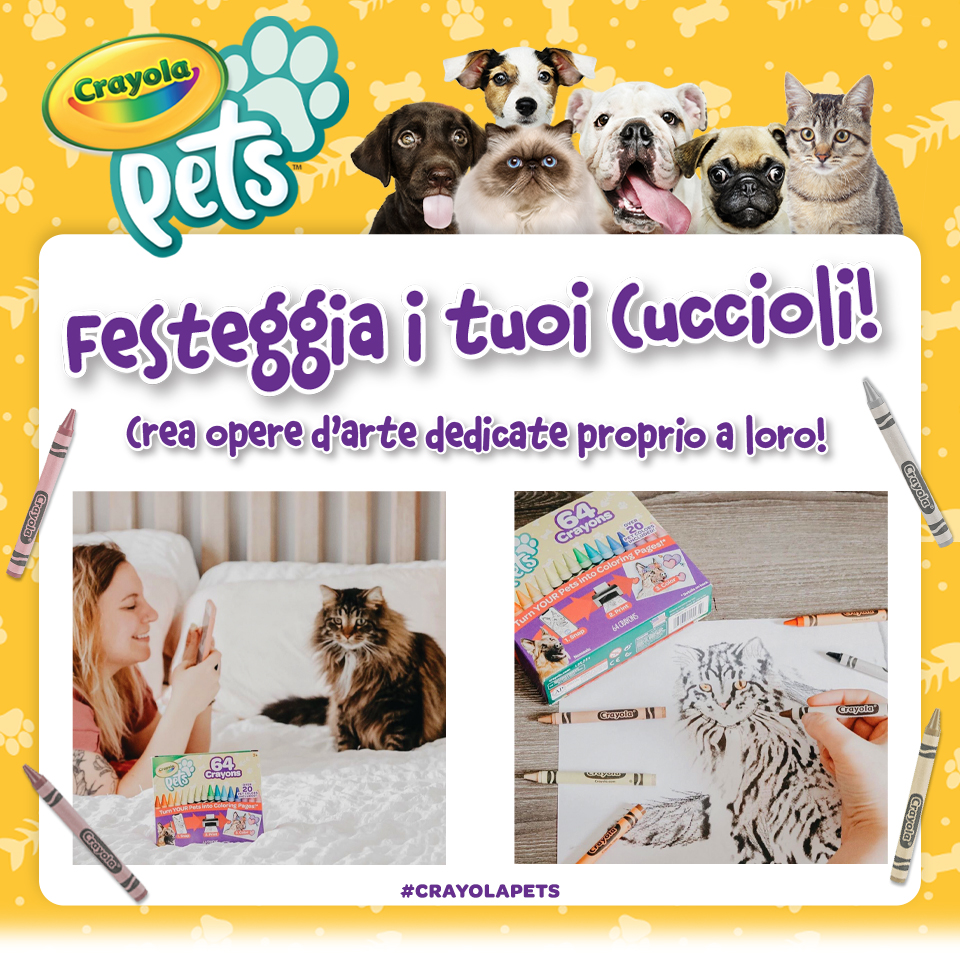 PETS splash